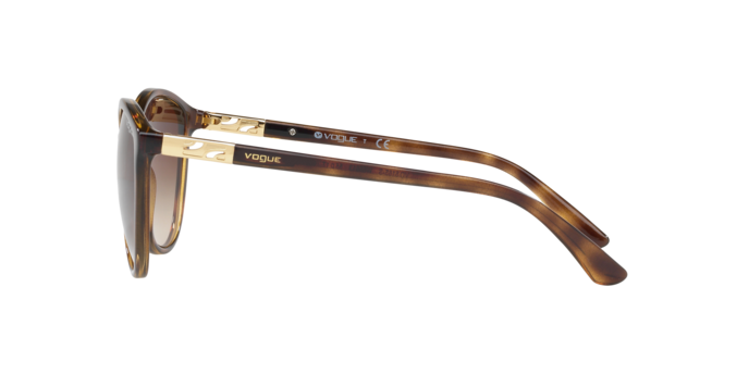Vogue Sunglasses VO5165S W65613