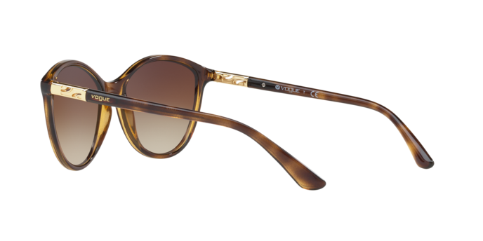 Vogue Sunglasses VO5165S W65613
