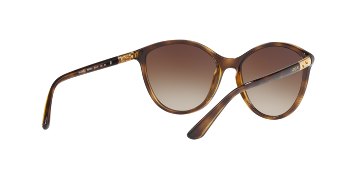 Vogue Sunglasses VO5165S W65613