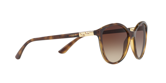 Vogue Sunglasses VO5165S W65613