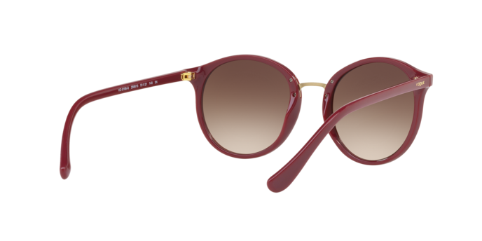Vogue Sunglasses VO5166S 256613