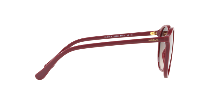 Vogue Sunglasses VO5166S 256613