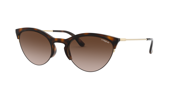 Vogue Sunglasses VO5287S 238613