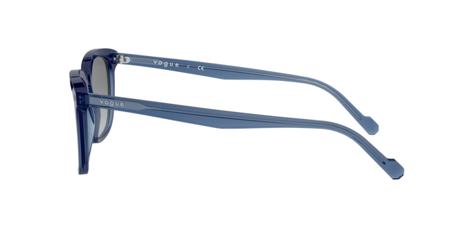 Vogue Sunglasses VO5347S 276011