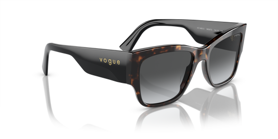 Vogue Sunglasses VO5462S W656T3