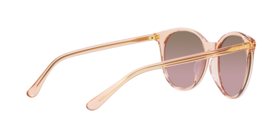 Vogue Sunglasses VO5468SD 295414