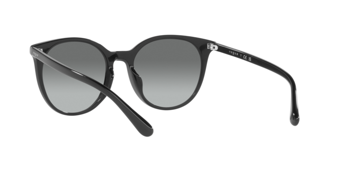 Vogue Sunglasses VO5468SD W44/11