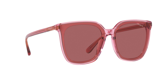 Vogue Sunglasses VO5499SD 303869