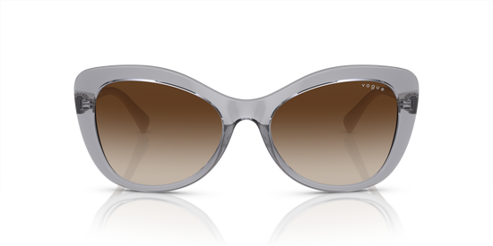 Vogue Sunglasses VO5515SB 309913