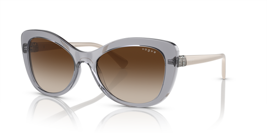 Vogue Sunglasses VO5515SB 309913