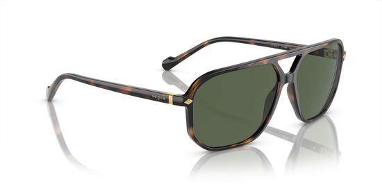 Vogue Sunglasses VO5531S 27189A