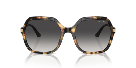 Vogue Sunglasses VO5561S 26058G