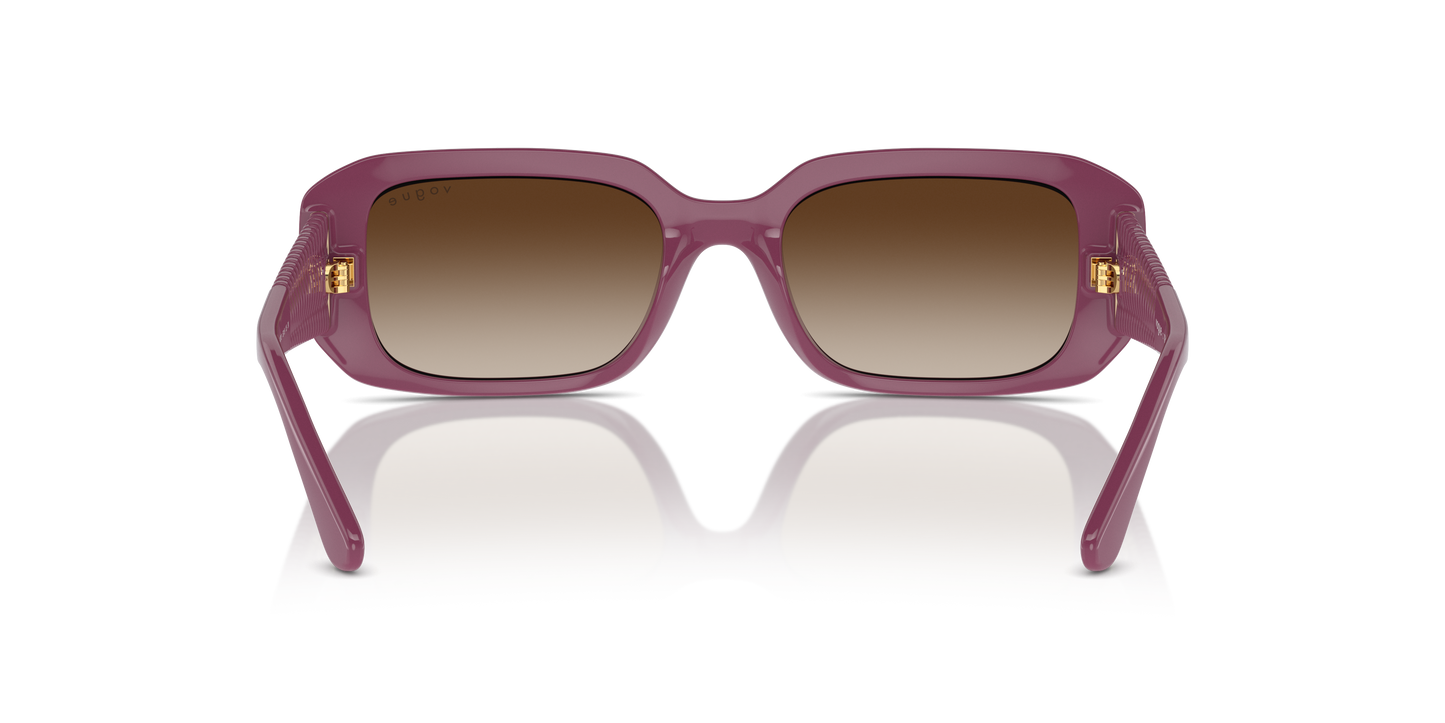 Vogue Sunglasses VO5565S 312313