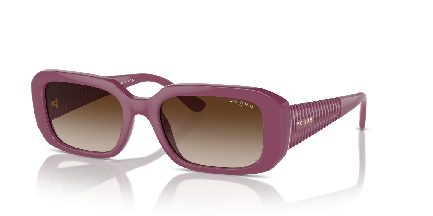 Vogue Sunglasses VO5565S 312313