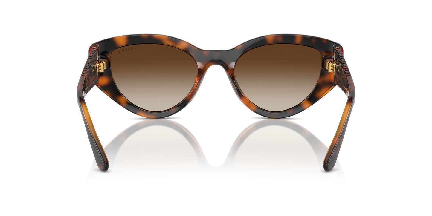 Vogue Sunglasses VO5566S W65613