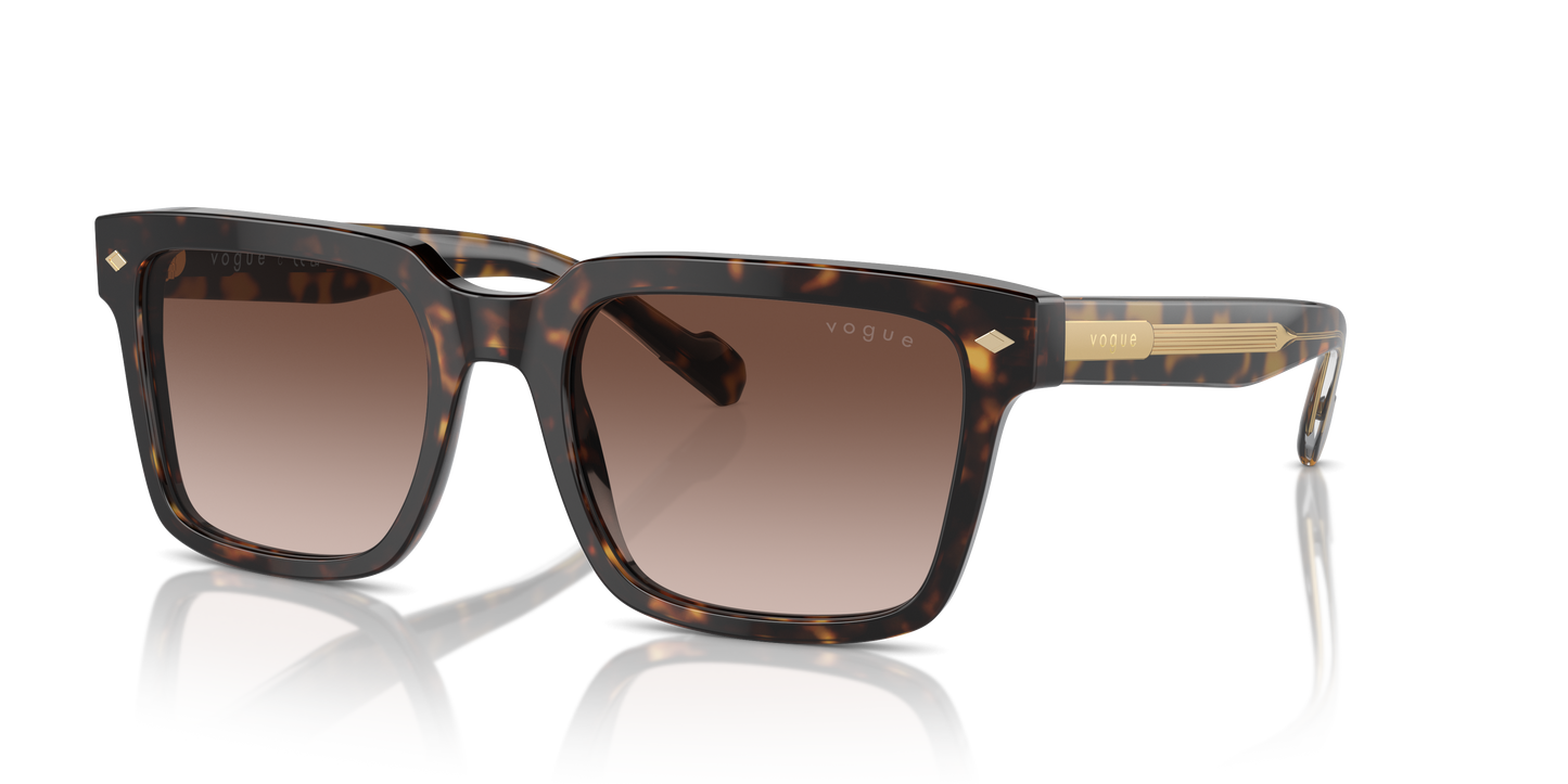 Vogue Sunglasses VO5573S W65613