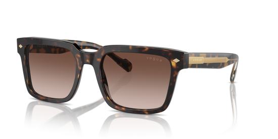 Vogue Sunglasses VO5573S W65613
