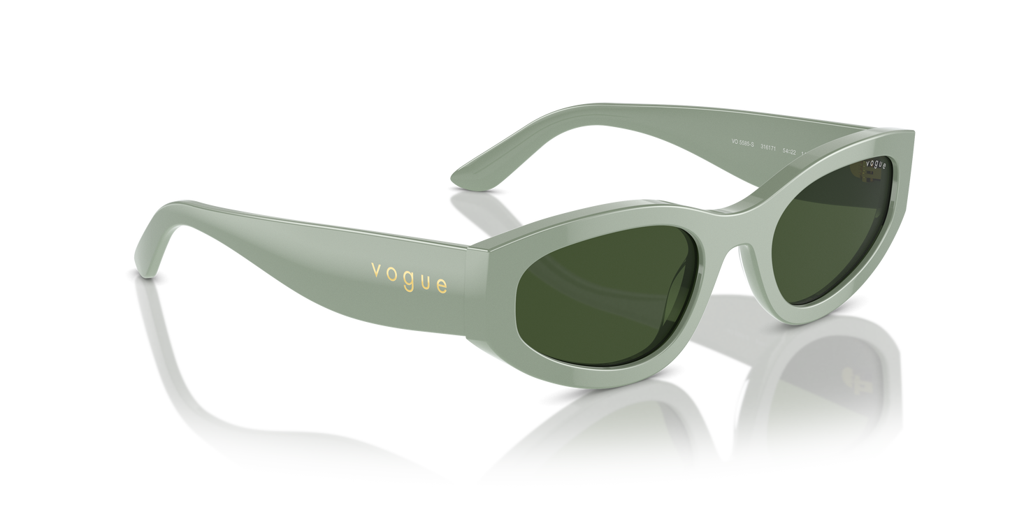 Vogue Sunglasses VO5585S 316171