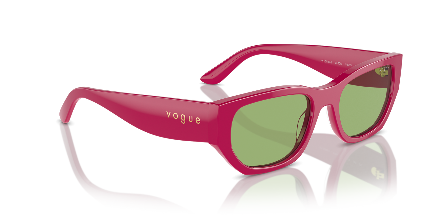 Vogue Sunglasses VO5586S 3160/2