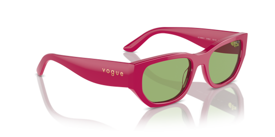 Vogue Sunglasses VO5586S 3160/2