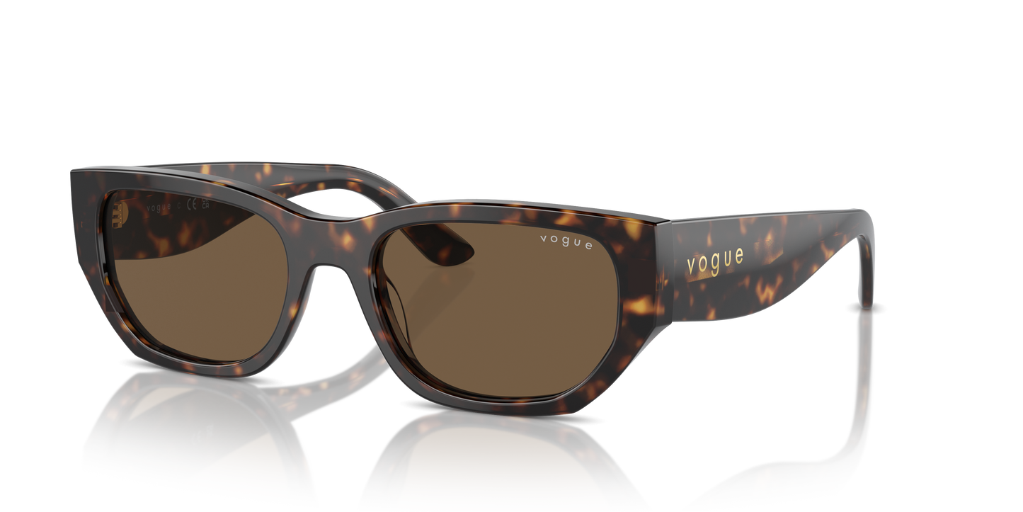Vogue Sunglasses VO5586S W65673