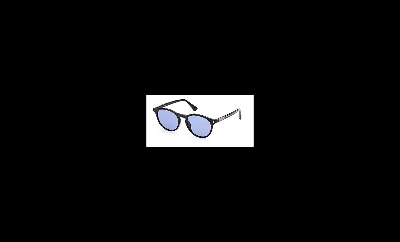 Web Sunglasses WE0328 01V