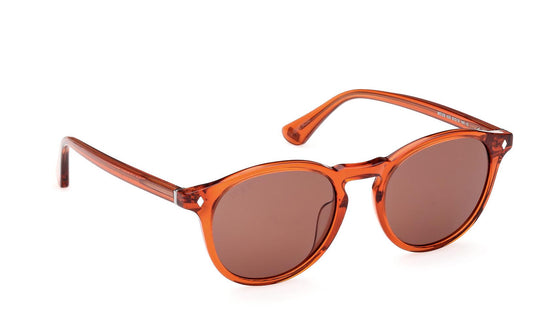 Web Sunglasses WE0328 42S