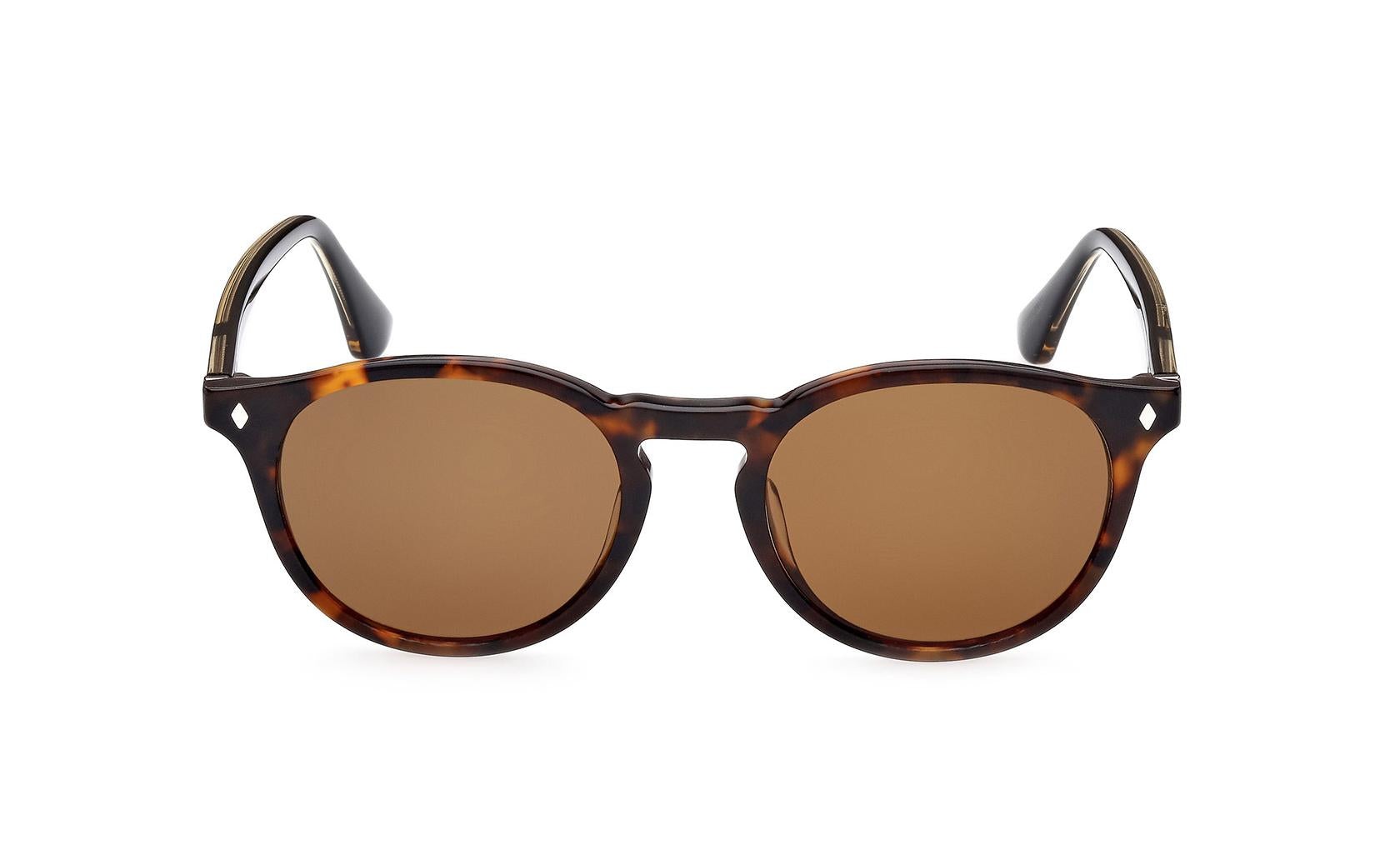 Web Sunglasses WE0328 56N