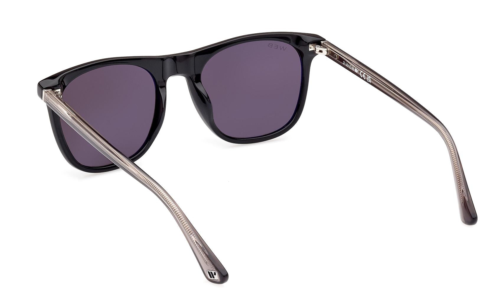 Web Sunglasses WE0339 01A