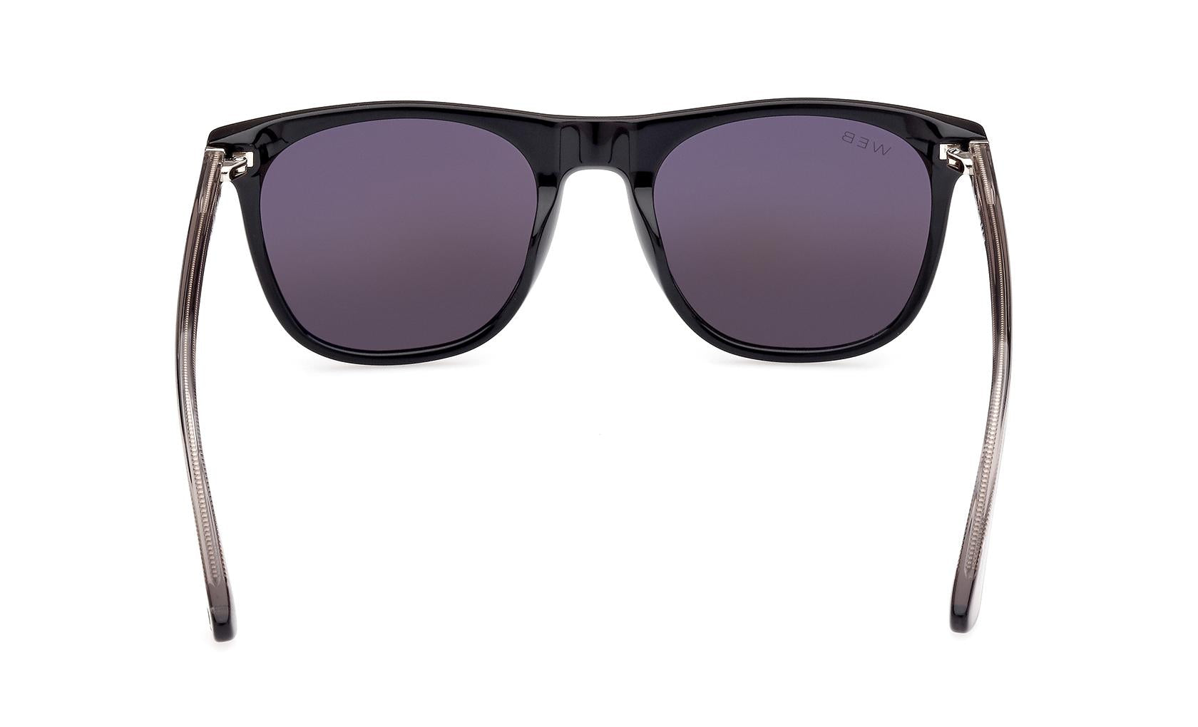 Web Sunglasses WE0339 01A