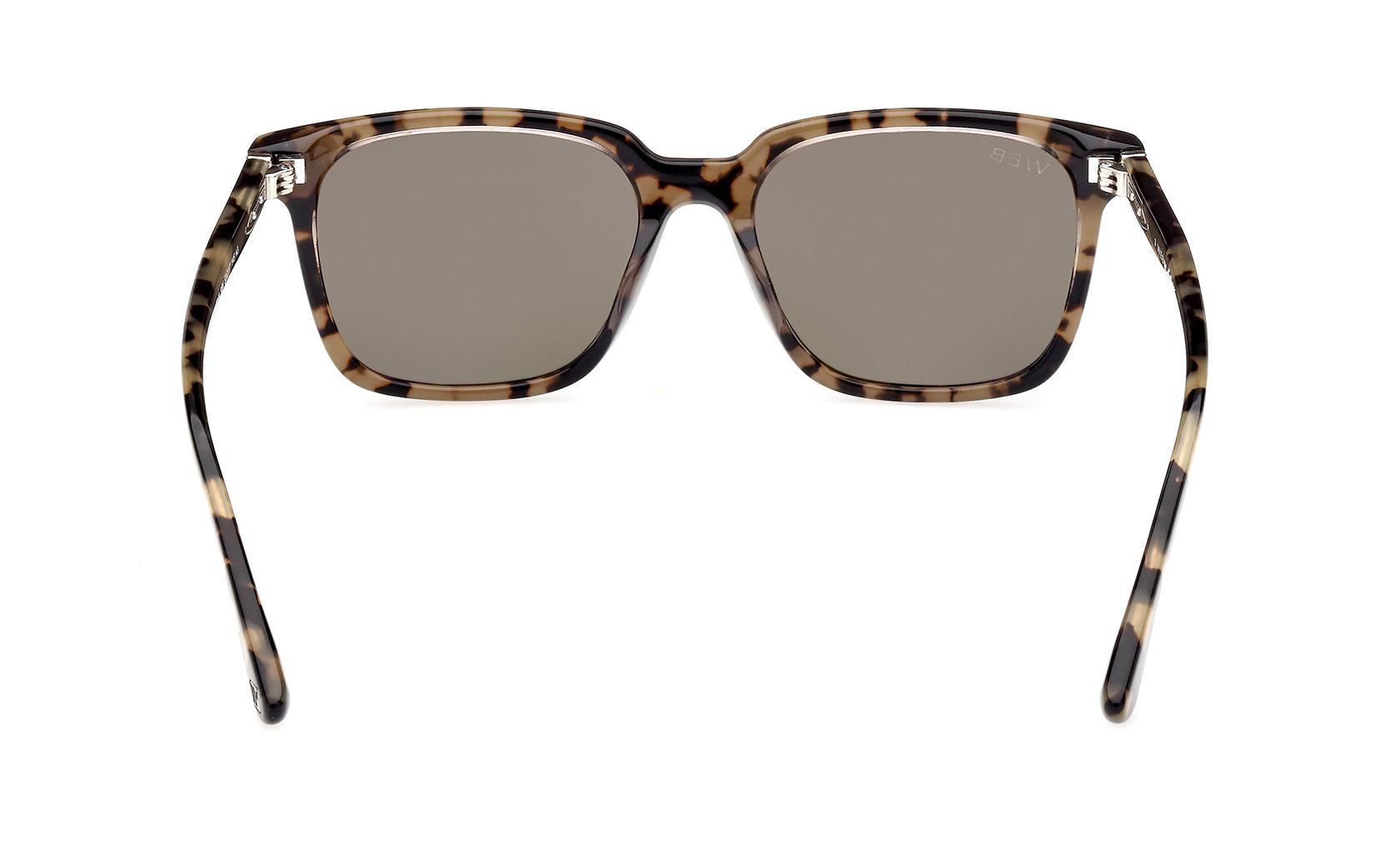 Web Sunglasses WE0348 55N