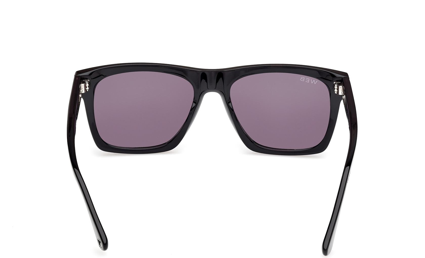 Web Sunglasses WE0350 05A