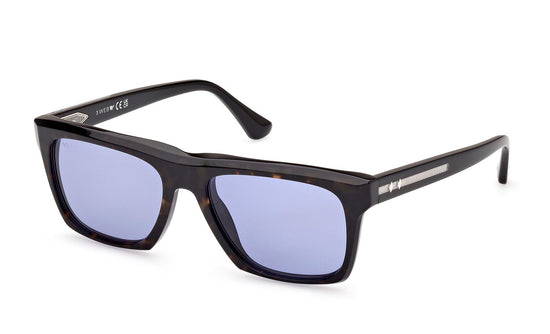 Web Sunglasses WE0350 56V