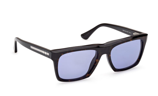 Web Sunglasses WE0350 56V