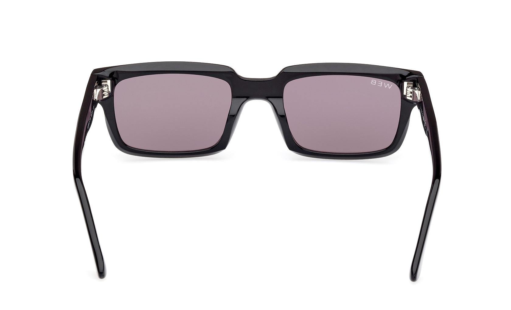 Web Sunglasses WE0360 01A