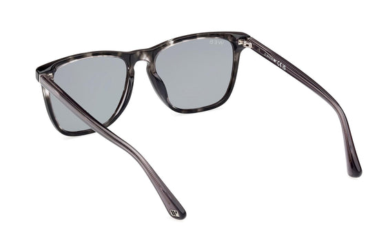 Web Sunglasses WE0363 20V