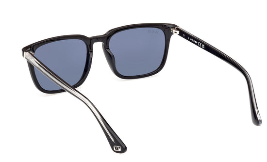 Web Sunglasses WE0369 01V