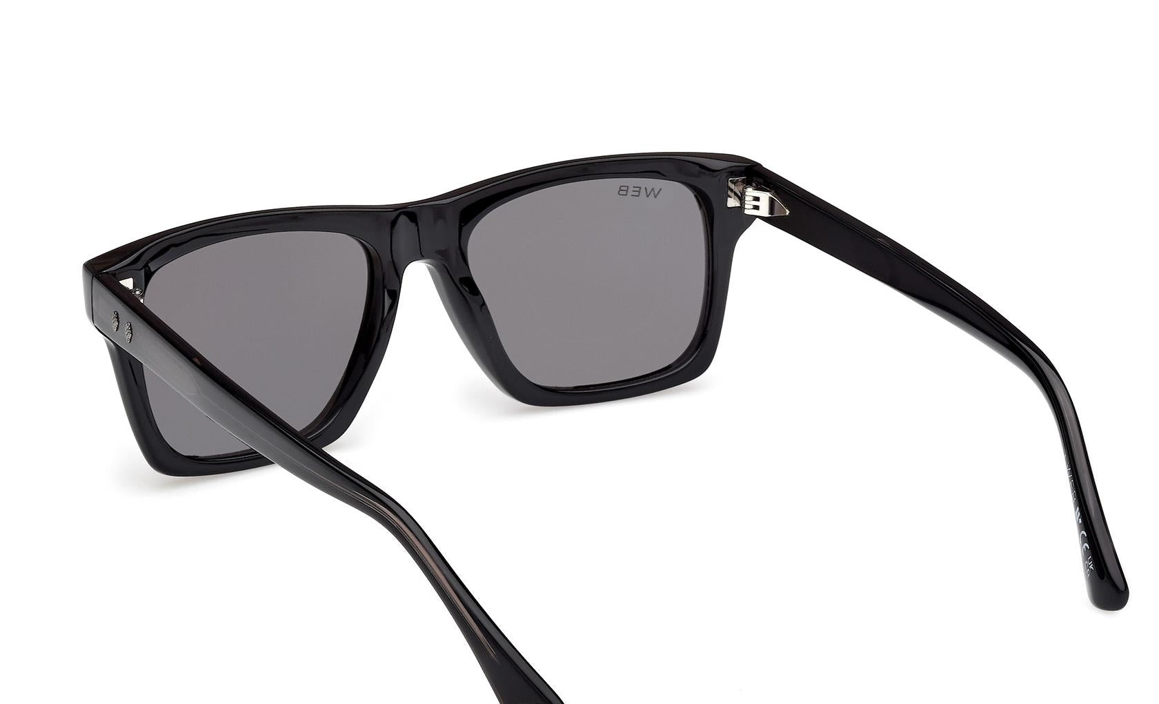 Web Sunglasses WE0382 05D