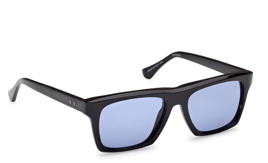 Web Sunglasses WE0382 56V