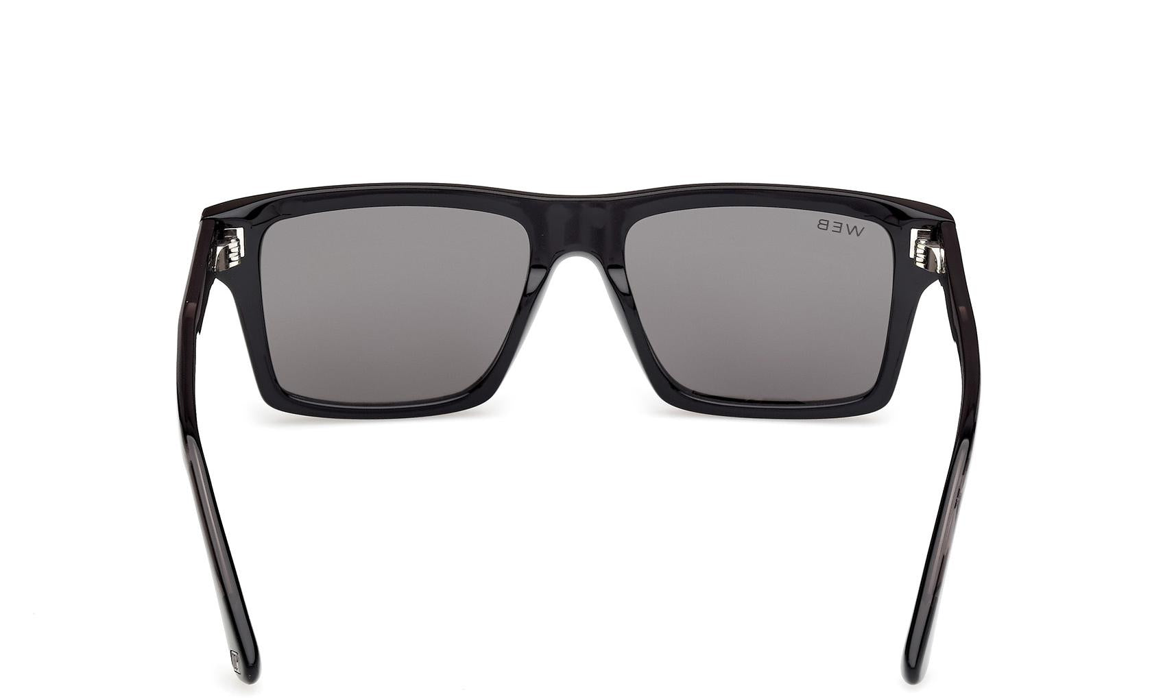 Web Sunglasses WE0383 05D