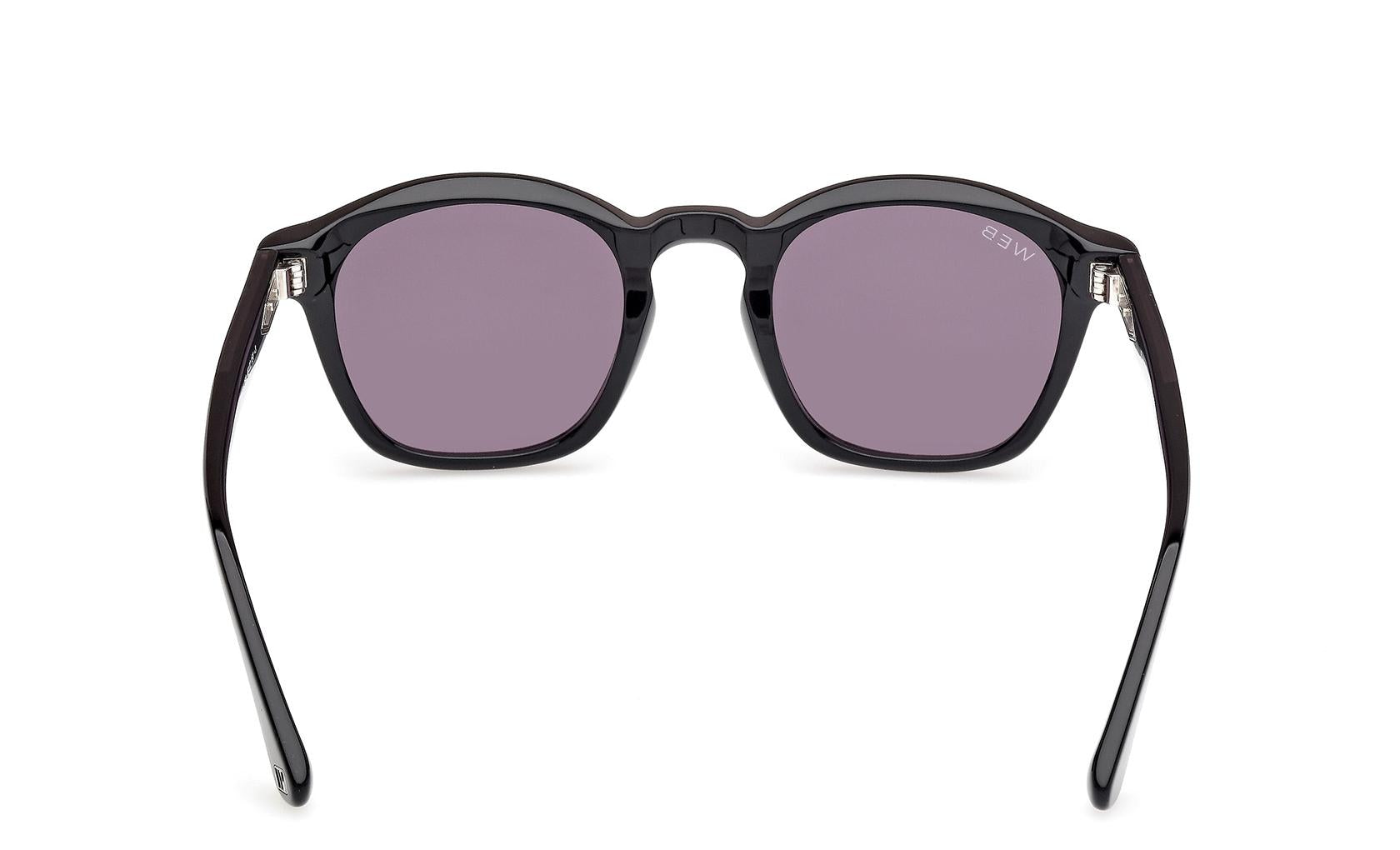 Web Sunglasses WE0384 05A