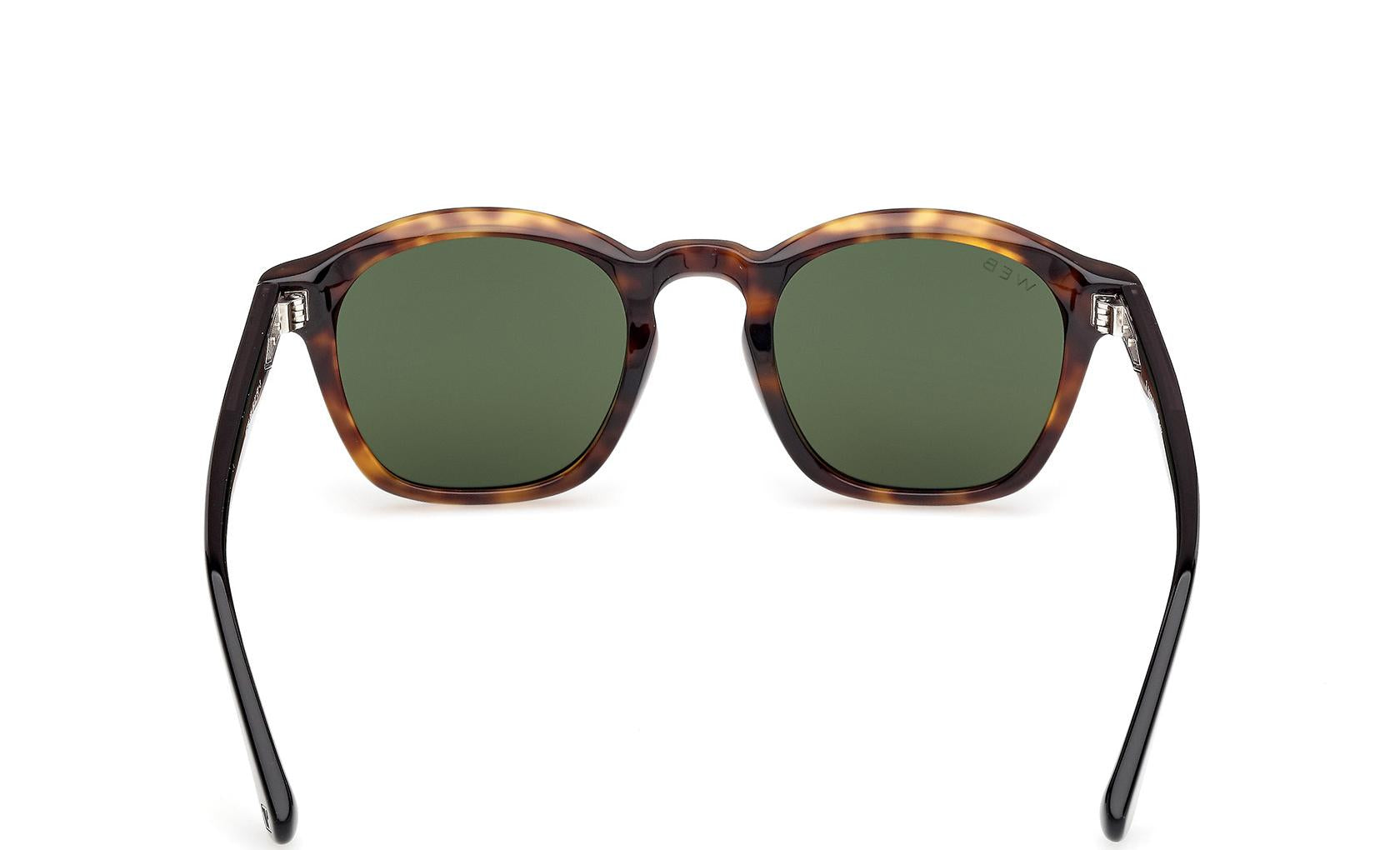 Web Sunglasses WE0384 55N
