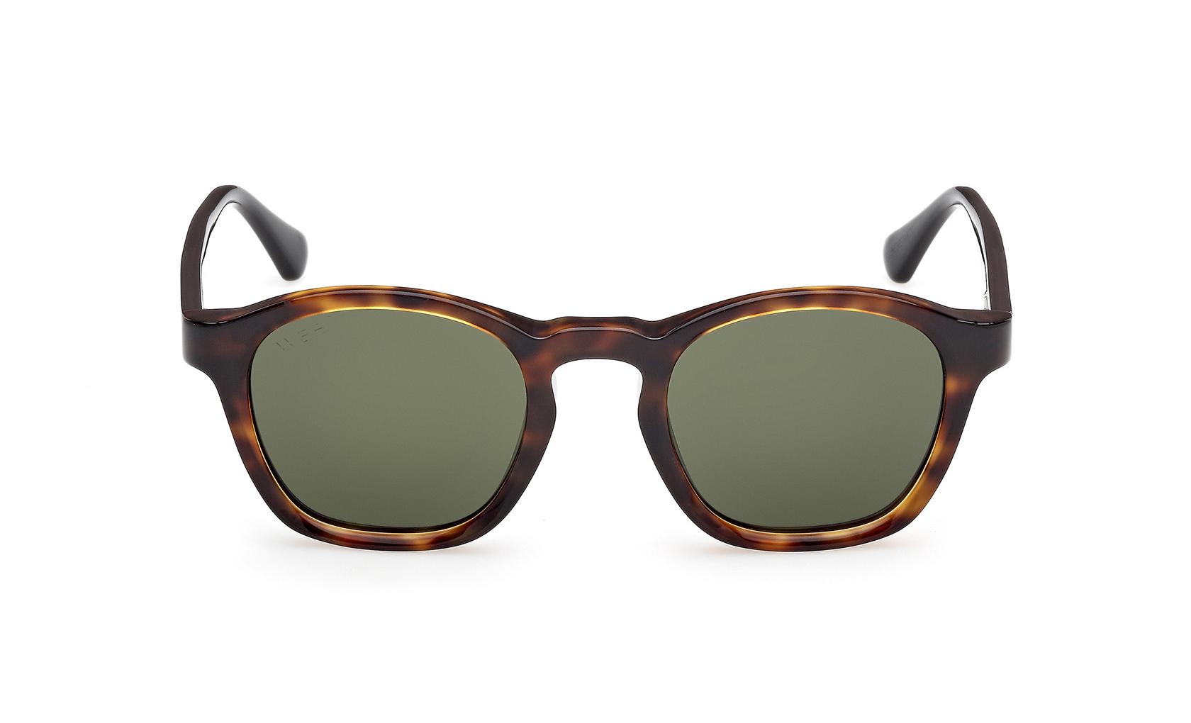 Web Sunglasses WE0384 55N