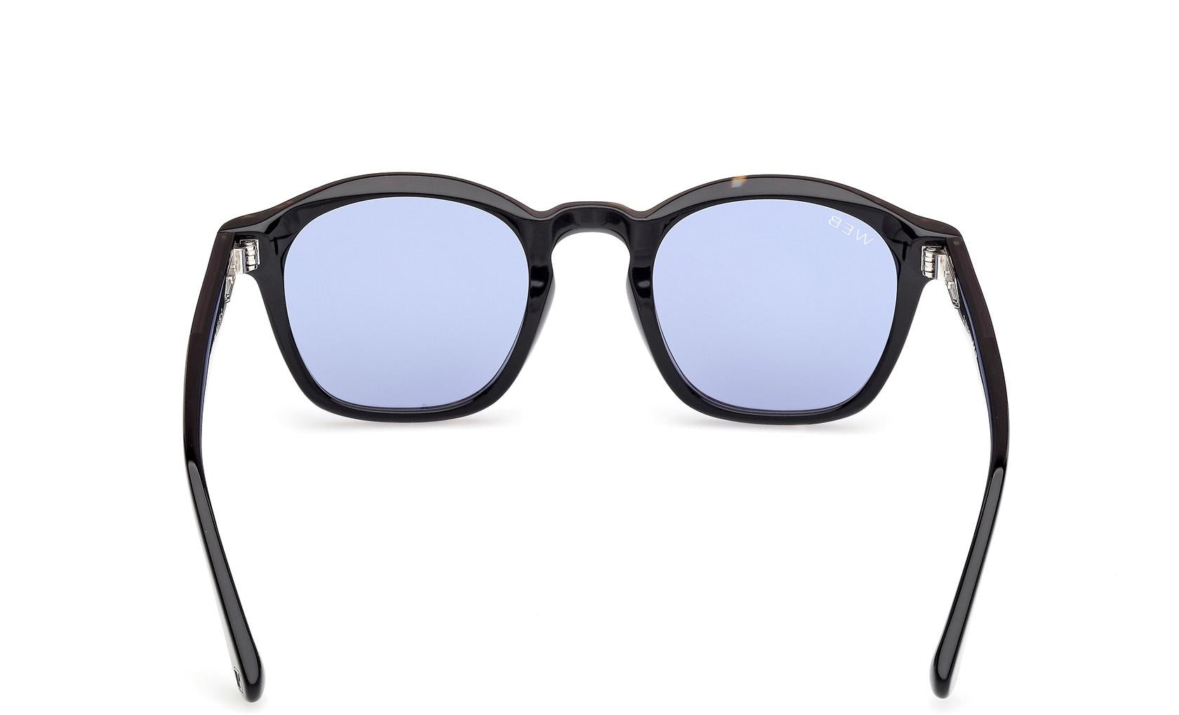 Web Sunglasses WE0384 56V
