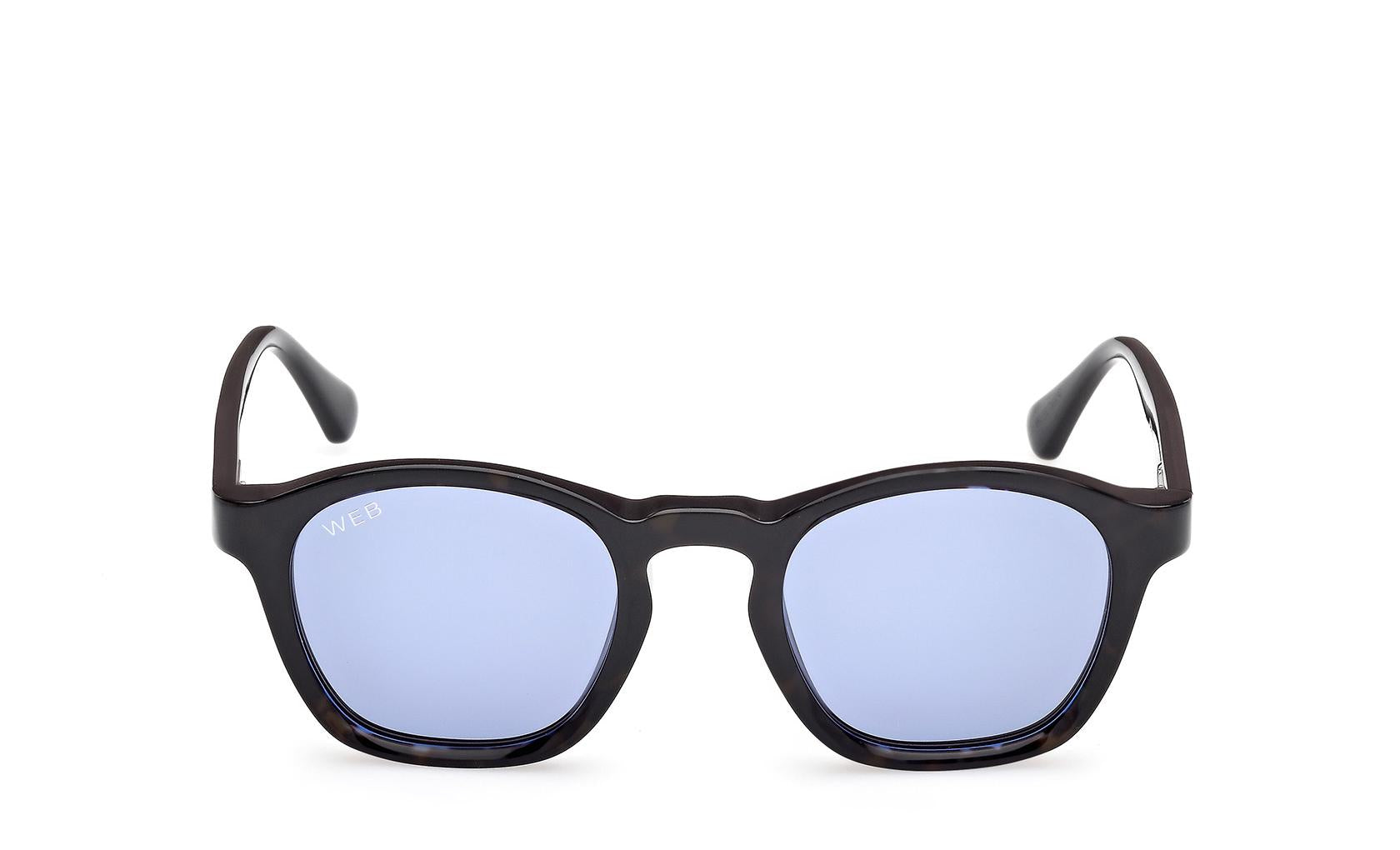 Web Sunglasses WE0384 56V