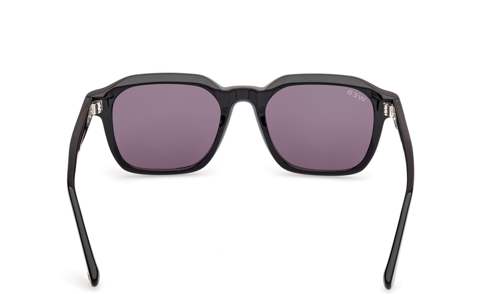 Web Sunglasses WE0385 05A