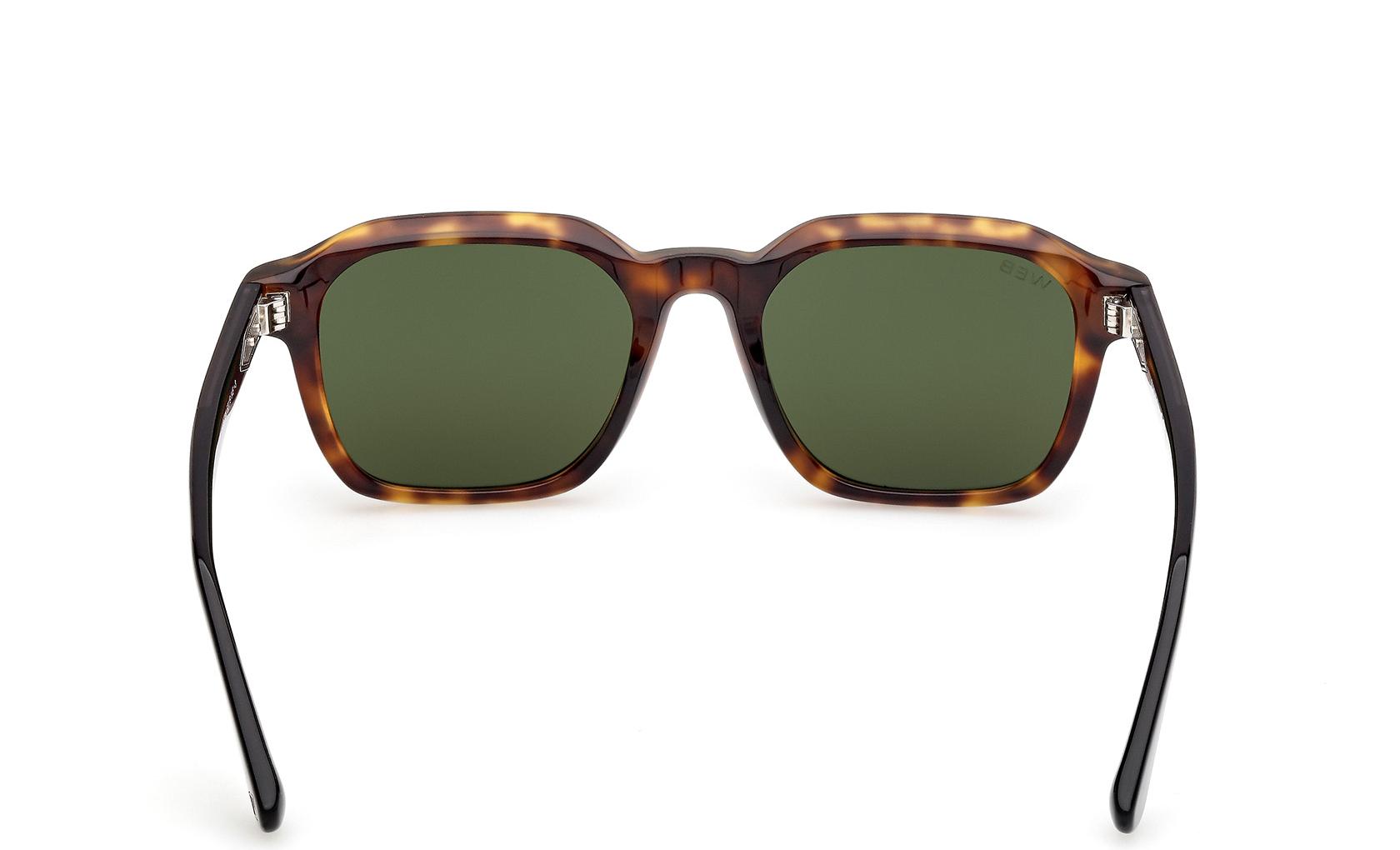 Web Sunglasses WE0385 55N