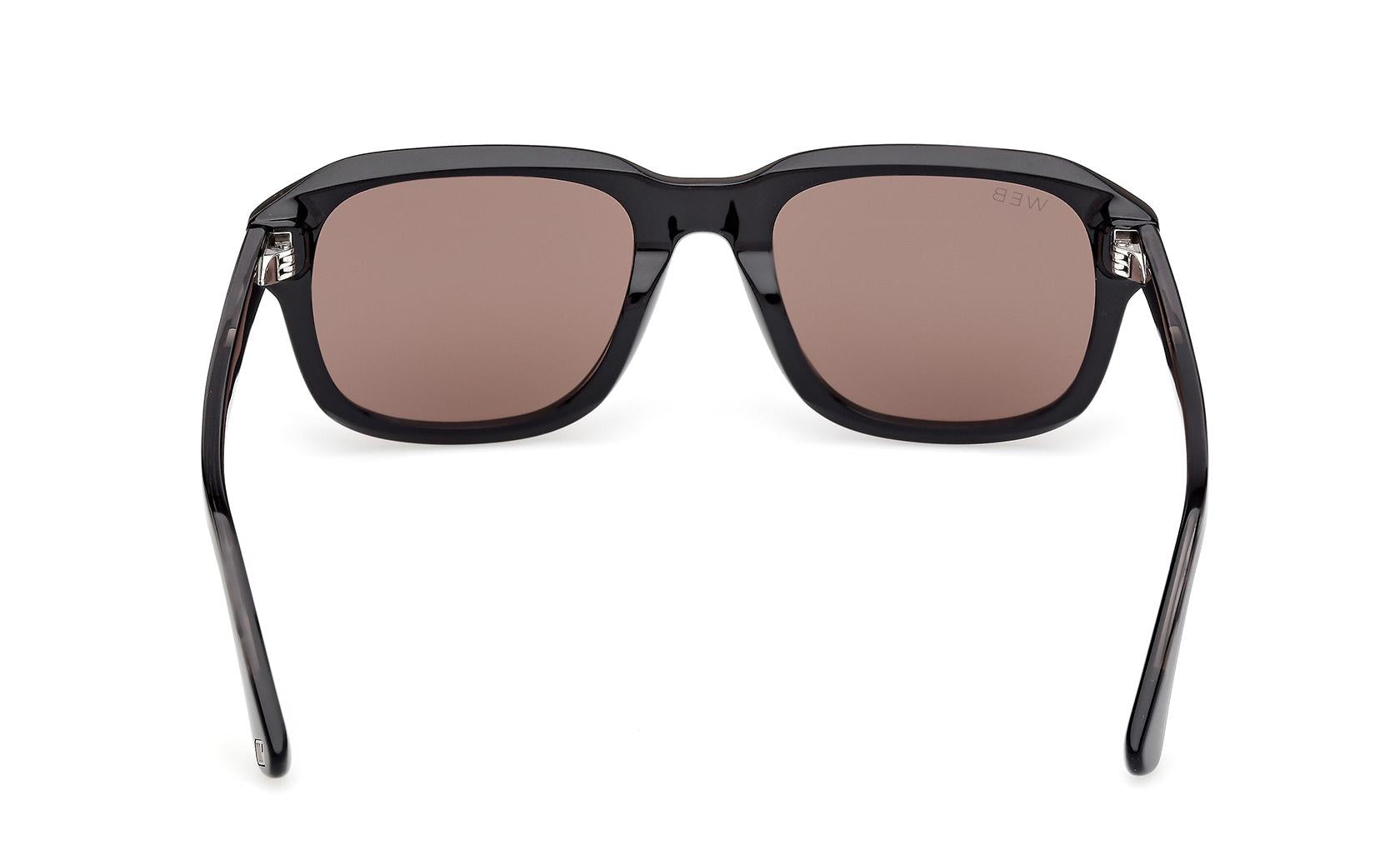 Web Sunglasses WE0389 01E