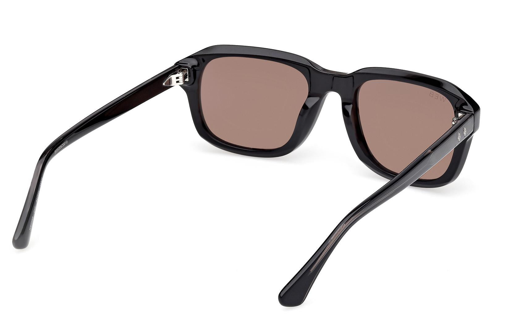 Web Sunglasses WE0389 01E