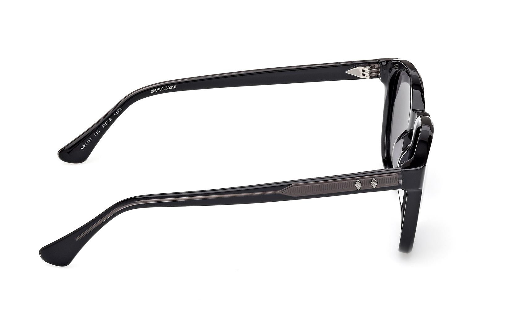 Web Sunglasses WE0390 01A